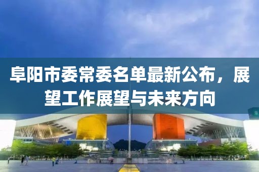 阜陽市委常委名單最新公布，展望工作展望與未來方向