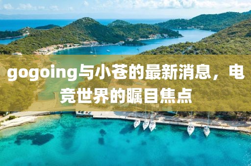 gogoing與小蒼的最新消息，電競世界的矚目焦點(diǎn)