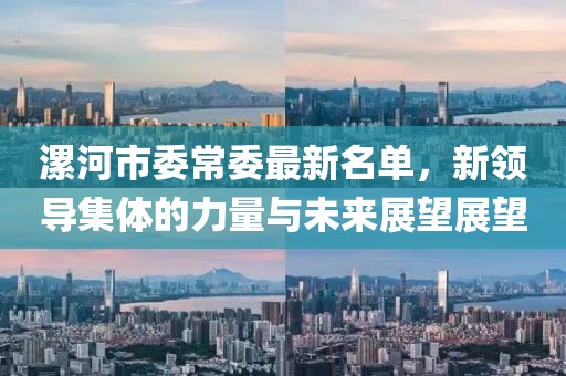 漯河市委常委最新名單，新領導集體的力量與未來展望展望