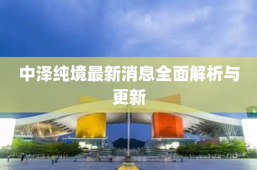中澤純境最新消息全面解析與更新