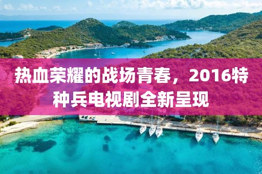 熱血榮耀的戰(zhàn)場青春，2016特種兵電視劇全新呈現(xiàn)