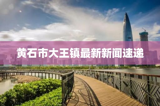 黃石市大王鎮(zhèn)最新新聞速遞