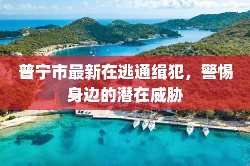 普寧市最新在逃通緝犯，警惕身邊的潛在威脅