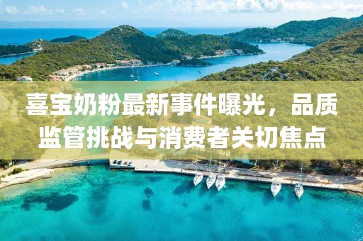 喜寶奶粉最新事件曝光，品質(zhì)監(jiān)管挑戰(zhàn)與消費(fèi)者關(guān)切焦點(diǎn)