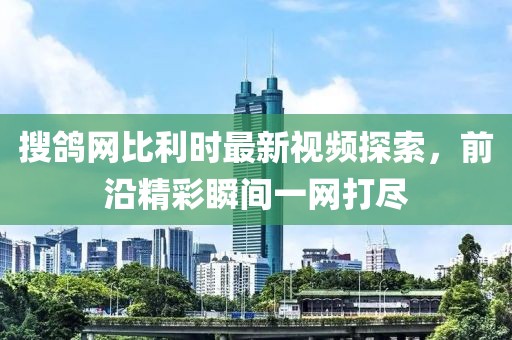 搜鴿網(wǎng)比利時(shí)最新視頻探索，前沿精彩瞬間一網(wǎng)打盡