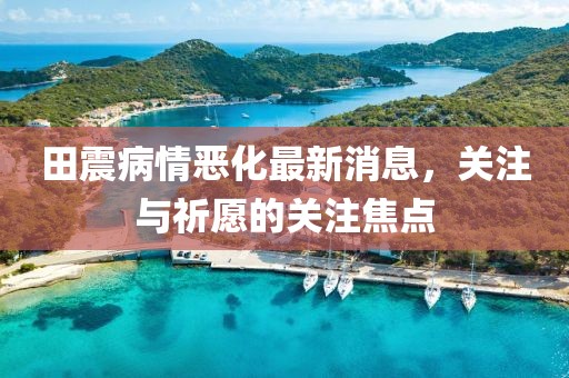 田震病情惡化最新消息，關注與祈愿的關注焦點
