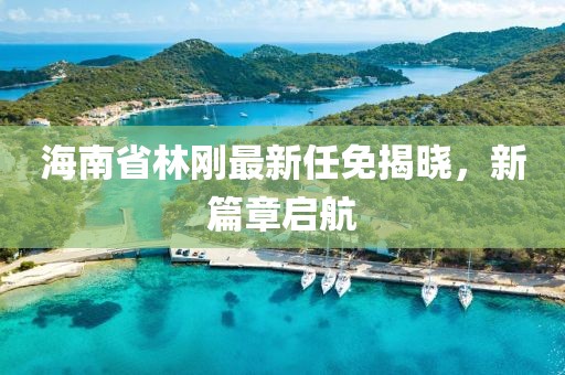 海南省林剛最新任免揭曉，新篇章啟航