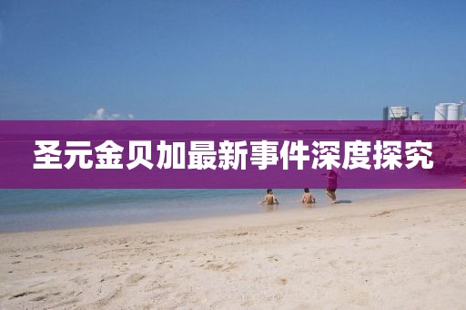 圣元金貝加最新事件深度探究