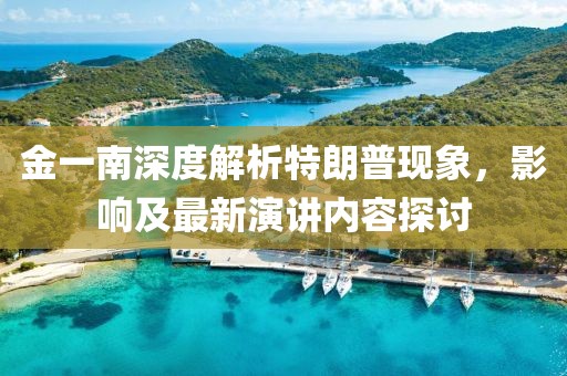 金一南深度解析特朗普現(xiàn)象，影響及最新演講內(nèi)容探討