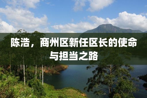 陳浩，商州區(qū)新任區(qū)長(zhǎng)的使命與擔(dān)當(dāng)之路
