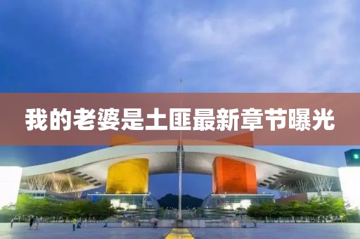 我的老婆是土匪最新章節(jié)曝光
