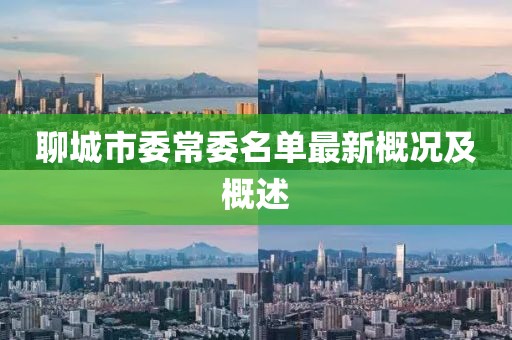聊城市委常委名單最新概況及概述