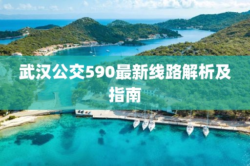 武漢公交590最新線路解析及指南