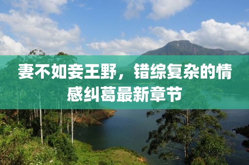 寰鸞 第11頁