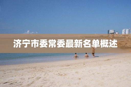 濟(jì)寧市委常委最新名單概述