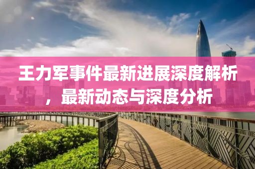 王力軍事件最新進展深度解析，最新動態(tài)與深度分析