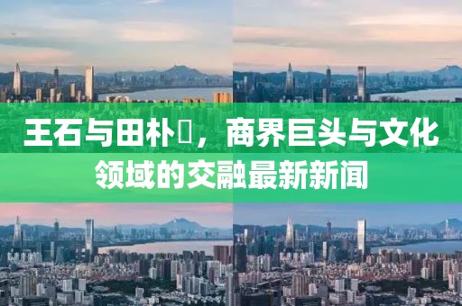 王石與田樸琤，商界巨頭與文化領(lǐng)域的交融最新新聞