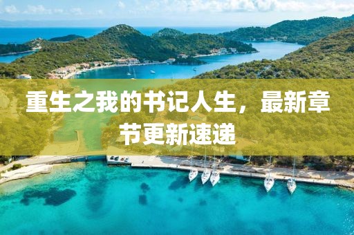 重生之我的書記人生，最新章節(jié)更新速遞