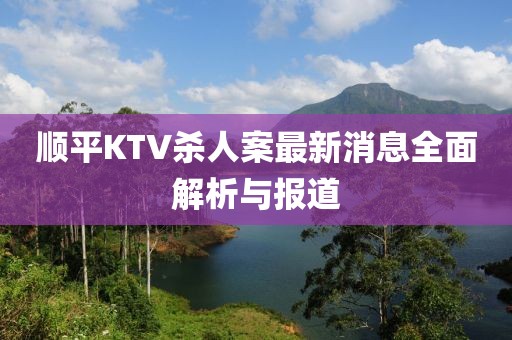 順平KTV殺人案最新消息全面解析與報道