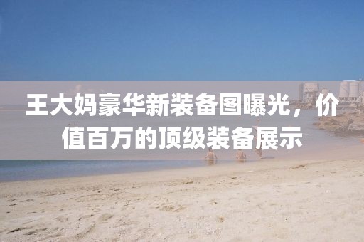 王大媽豪華新裝備圖曝光，價值百萬的頂級裝備展示