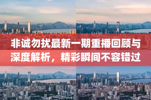 非誠勿擾最新一期重播回顧與深度解析，精彩瞬間不容錯過
