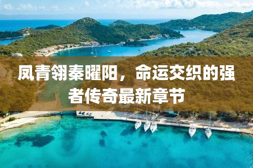 鳳青翎秦曜陽，命運(yùn)交織的強(qiáng)者傳奇最新章節(jié)