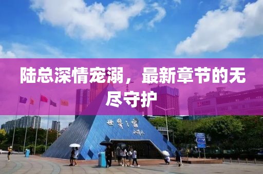 陸總深情寵溺，最新章節(jié)的無盡守護(hù)