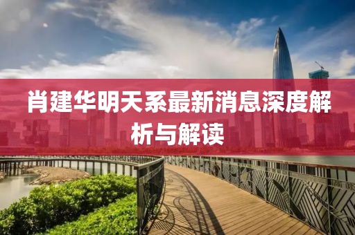 肖建華明天系最新消息深度解析與解讀