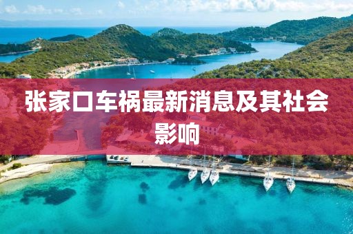 張家口車禍最新消息及其社會影響