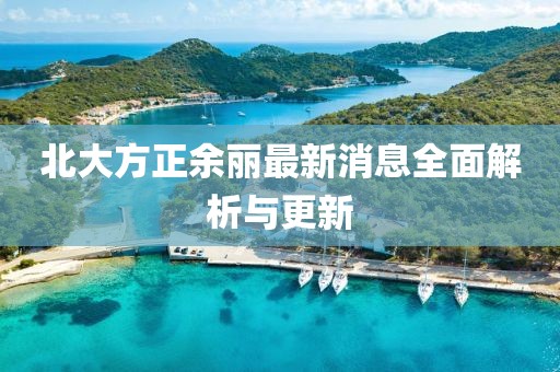 北大方正余麗最新消息全面解析與更新