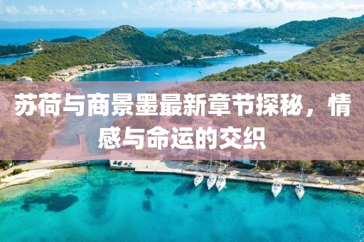 蘇荷與商景墨最新章節(jié)探秘，情感與命運的交織