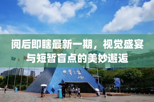 閱后即瞎最新一期，視覺盛宴與短暫盲點的美妙邂逅