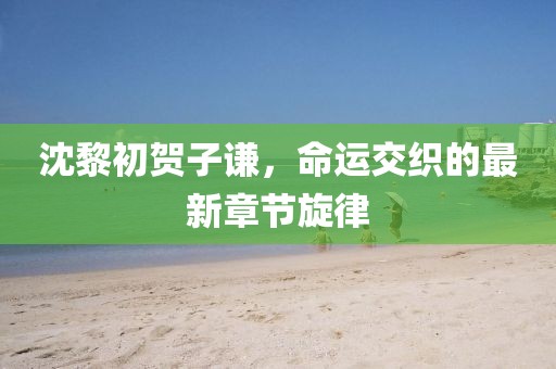 沈黎初賀子謙，命運(yùn)交織的最新章節(jié)旋律
