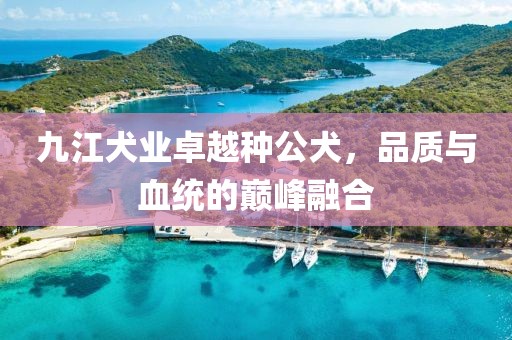 九江犬業(yè)卓越種公犬，品質(zhì)與血統(tǒng)的巔峰融合