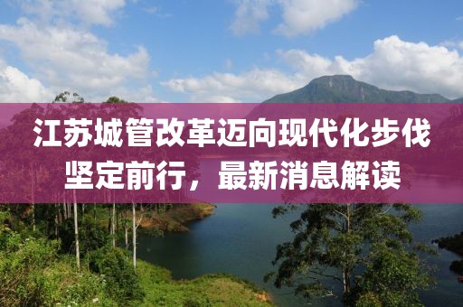 江蘇城管改革邁向現(xiàn)代化步伐堅定前行，最新消息解讀