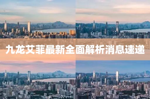 九龍艾菲最新全面解析消息速遞