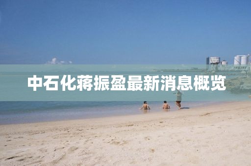 中石化蔣振盈最新消息概覽