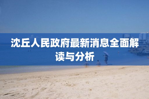 沈丘人民政府最新消息全面解讀與分析