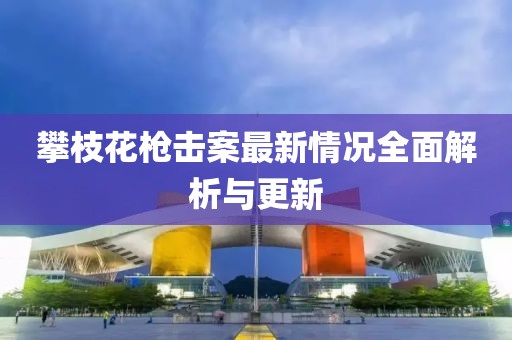 攀枝花槍擊案最新情況全面解析與更新