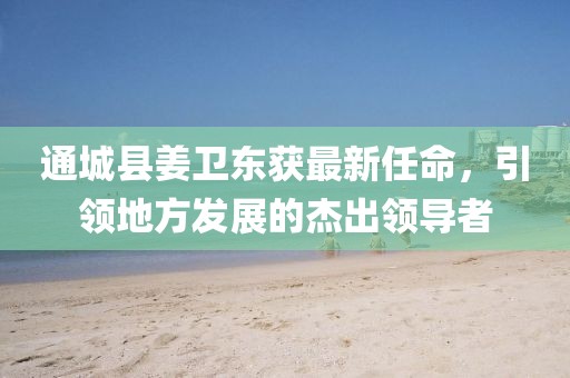 通城縣姜衛(wèi)東獲最新任命，引領(lǐng)地方發(fā)展的杰出領(lǐng)導(dǎo)者