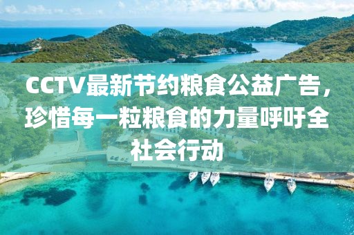 CCTV最新節(jié)約糧食公益廣告，珍惜每一粒糧食的力量呼吁全社會行動