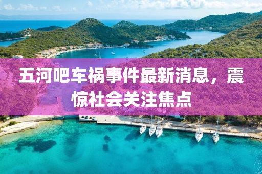 五河吧車禍?zhǔn)录钚孪?，震驚社會(huì)關(guān)注焦點(diǎn)
