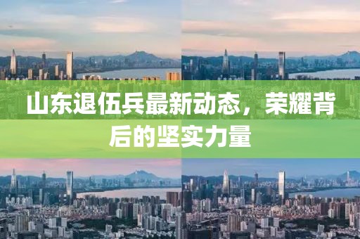 山東退伍兵最新動態(tài)，榮耀背后的堅實力量
