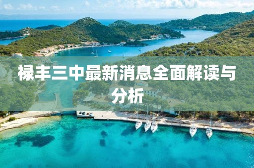 祿豐三中最新消息全面解讀與分析