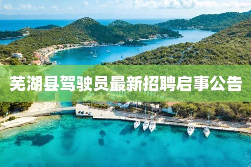蕪湖縣駕駛員最新招聘啟事公告