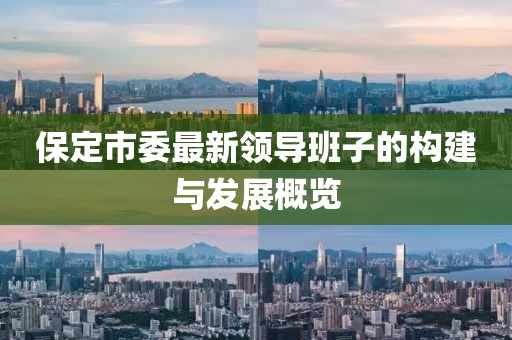 保定市委最新領(lǐng)導(dǎo)班子的構(gòu)建與發(fā)展概覽