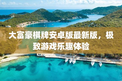 大富豪棋牌安卓版最新版，極致游戲樂(lè)趣體驗(yàn)