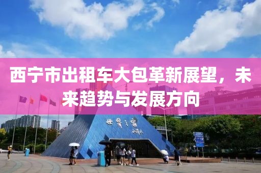 西寧市出租車大包革新展望，未來趨勢與發(fā)展方向
