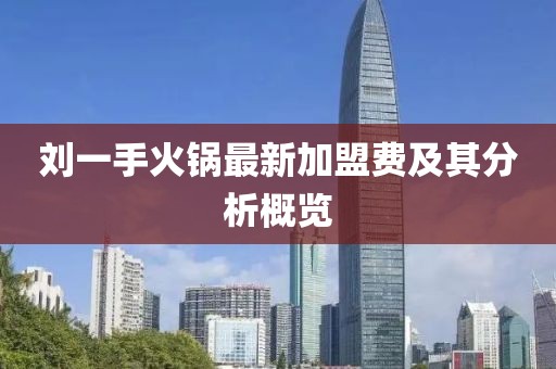 劉一手火鍋?zhàn)钚录用速M(fèi)及其分析概覽