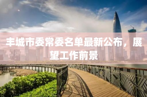 豐城市委常委名單最新公布，展望工作前景